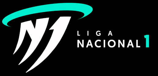 Logo Primera Nacional Femenino